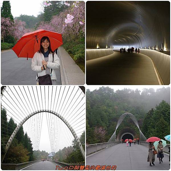 cats22.jpg cats22.jpg