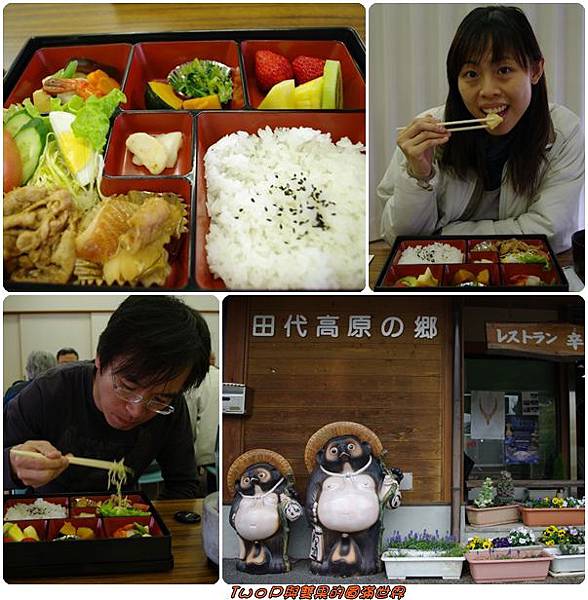 cats23.jpg cats23.jpg