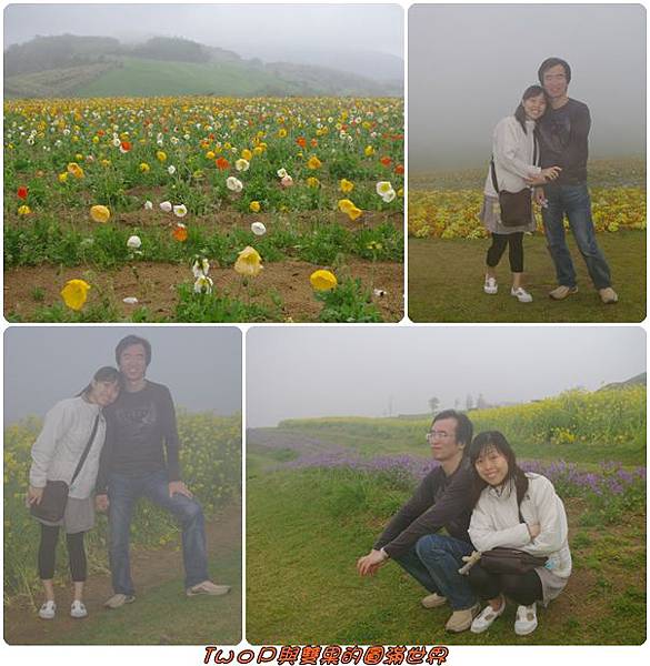 cats24.jpg cats24.jpg