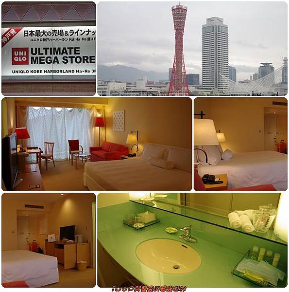 cats25.jpg cats25.jpg