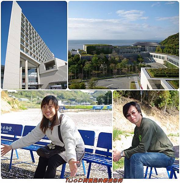 cats26.jpg cats26.jpg