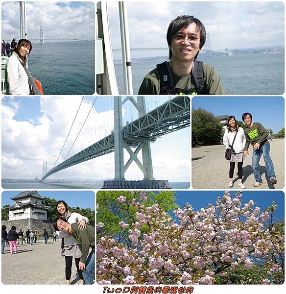 cats27.jpg cats27.jpg