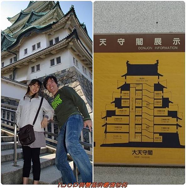 cats28.jpg cats28.jpg