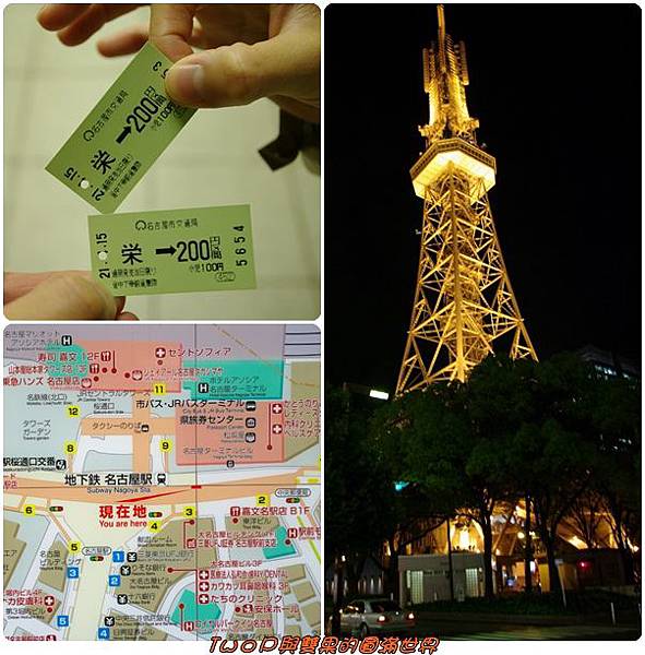 cats29.jpg cats29.jpg