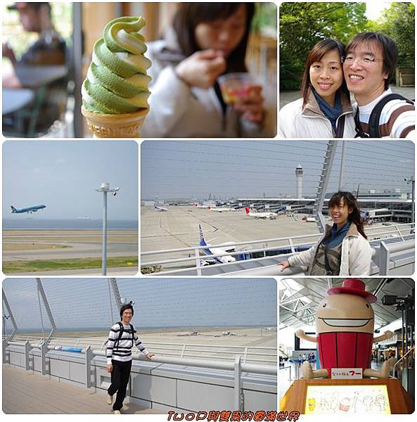 cats30.jpg cats30.jpg