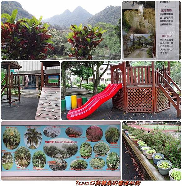 cats15.jpg cats15.jpg