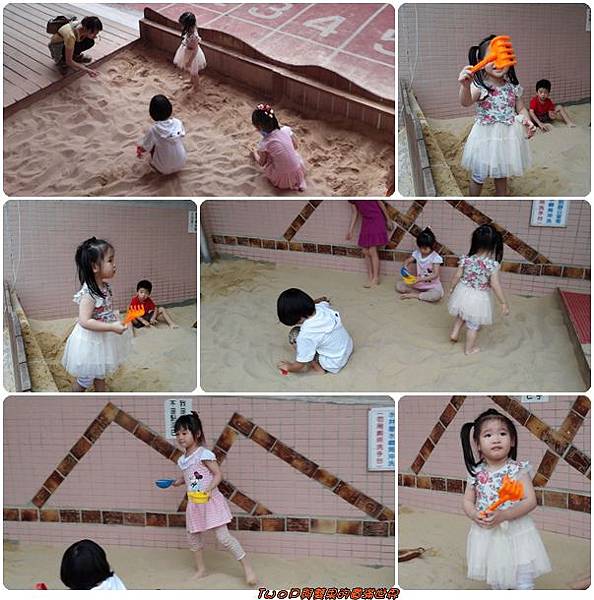 cats16.jpg cats16.jpg