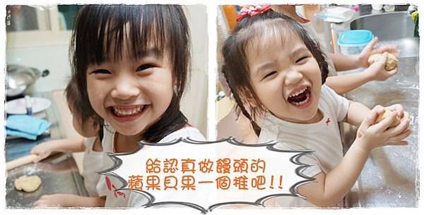 cats23.jpg cats23.jpg