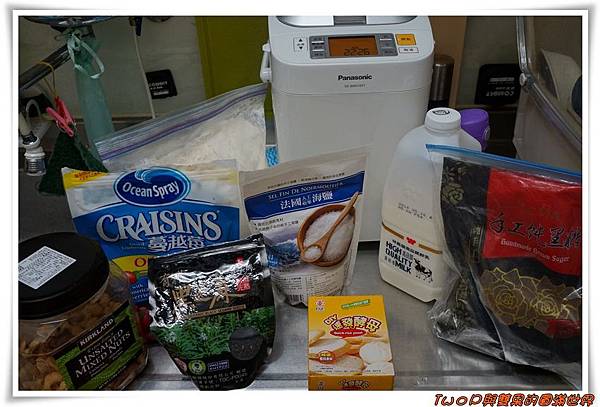 cats4-1.JPG cats4-1.JPG