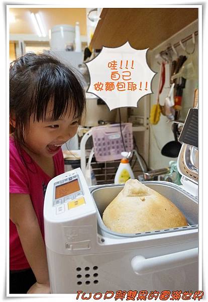 cats11.jpg cats11.jpg