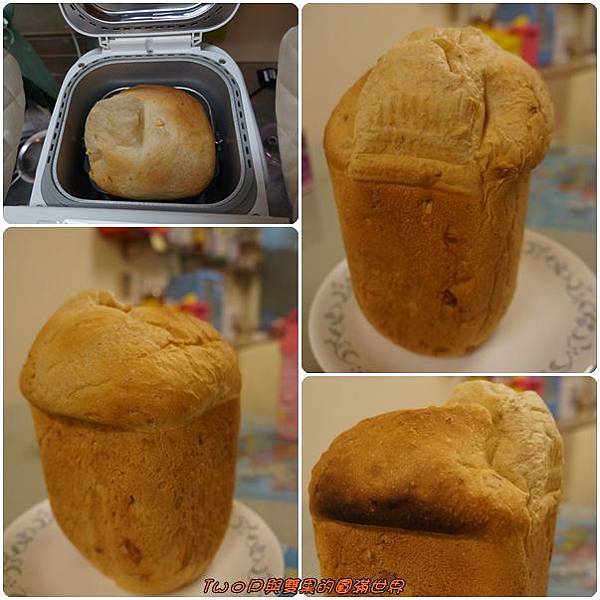 cats12.jpg cats12.jpg