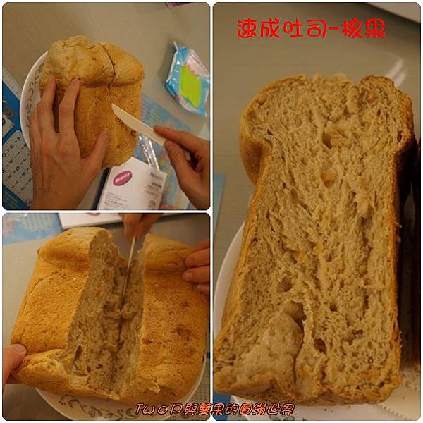 cats13.jpg cats13.jpg