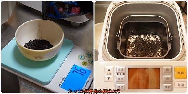 cats14.jpg cats14.jpg