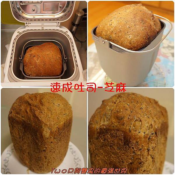 cats16.jpg cats16.jpg