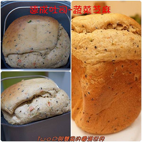 cats20.jpg cats20.jpg