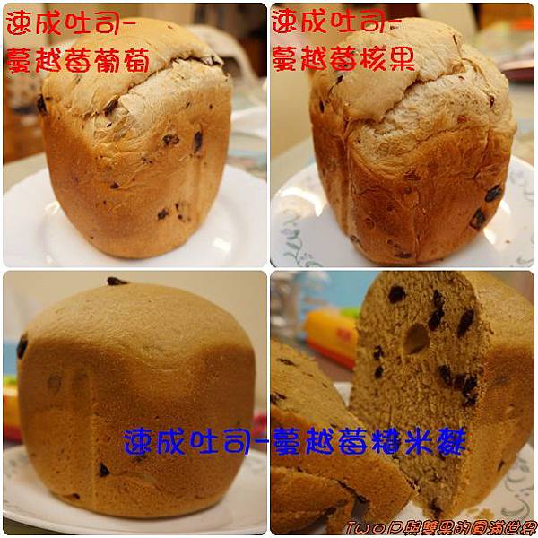 cats21.jpg cats21.jpg