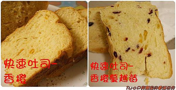 cats21-1.JPG cats21-1.JPG