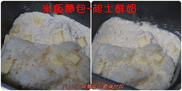 cats22.jpg cats22.jpg