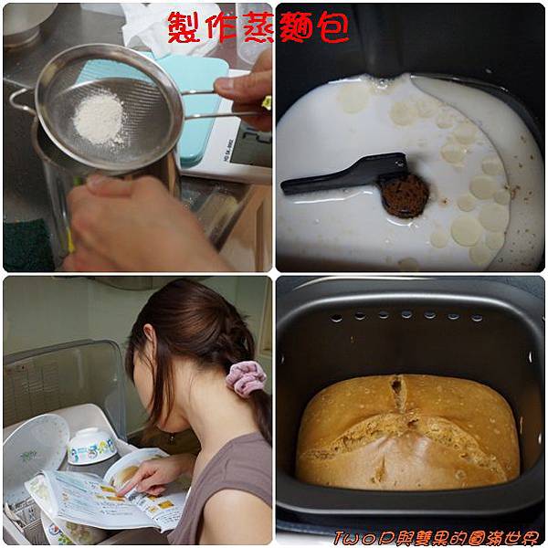 cats27.jpg cats27.jpg