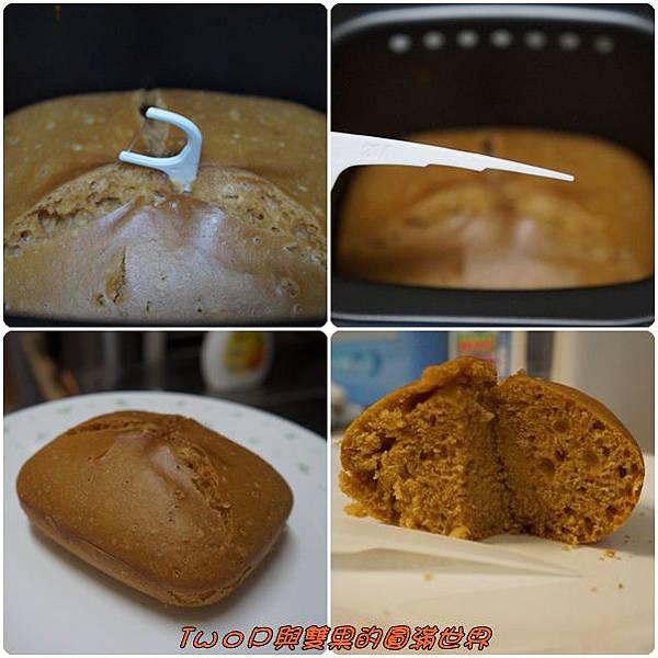 cats28.jpg cats28.jpg