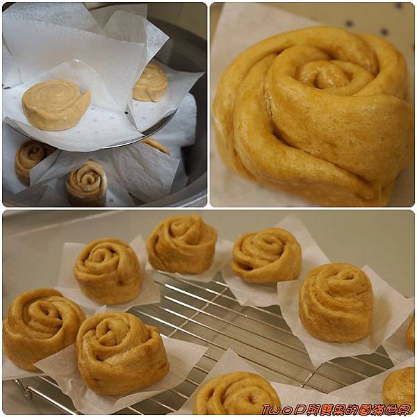 cats29.jpg cats29.jpg