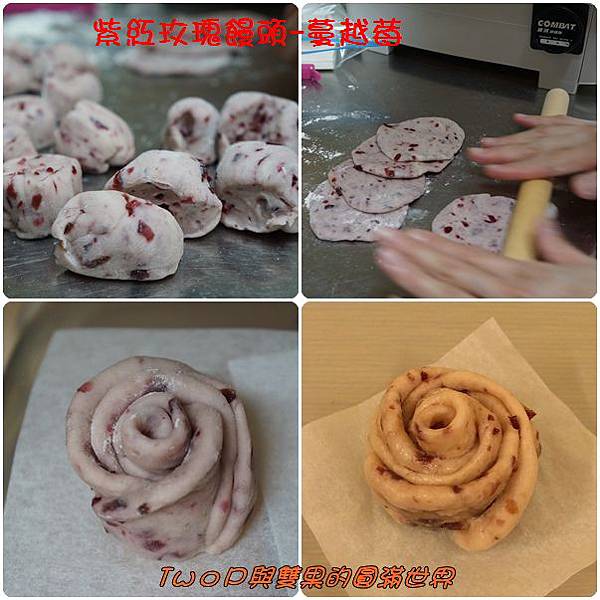 cats30.jpg cats30.jpg