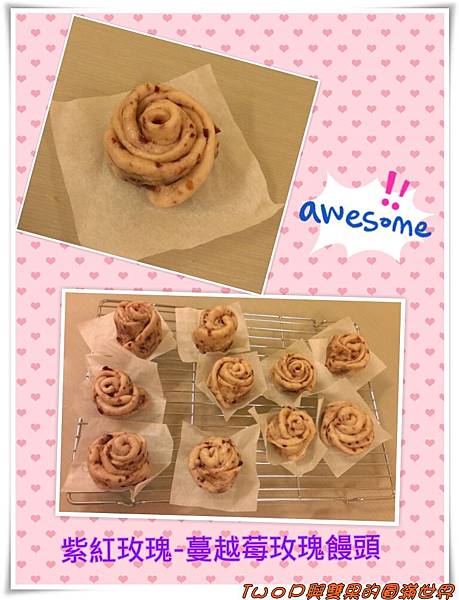 cats30-1.jpg cats30-1.jpg