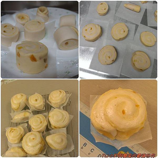 cats31.jpg cats31.jpg