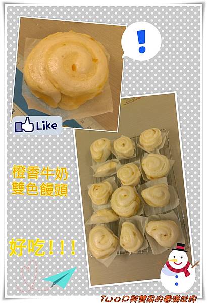 cats31-1.jpg cats31-1.jpg