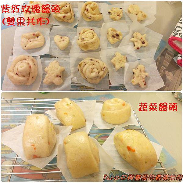 cats33.jpg cats33.jpg