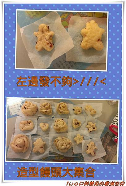 cats34.jpg cats34.jpg