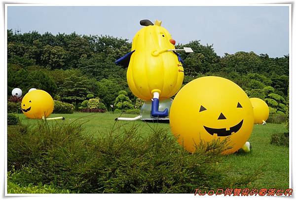 cats2-.jpg cats2-.jpg