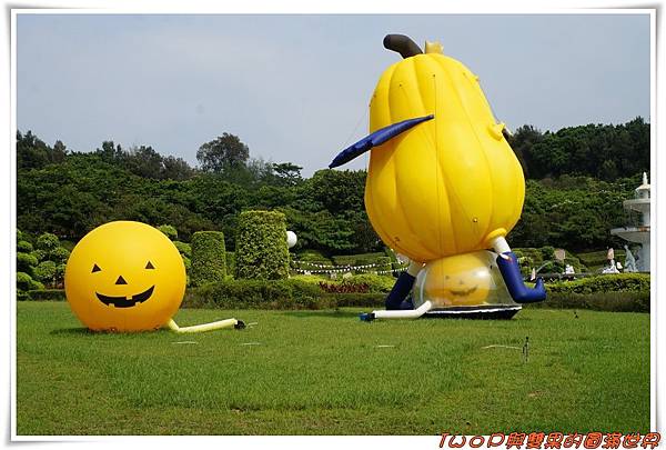 cats2-00.jpg cats2-00.jpg