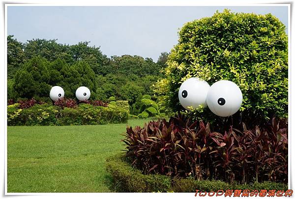 cats2-1.jpg cats2-1.jpg