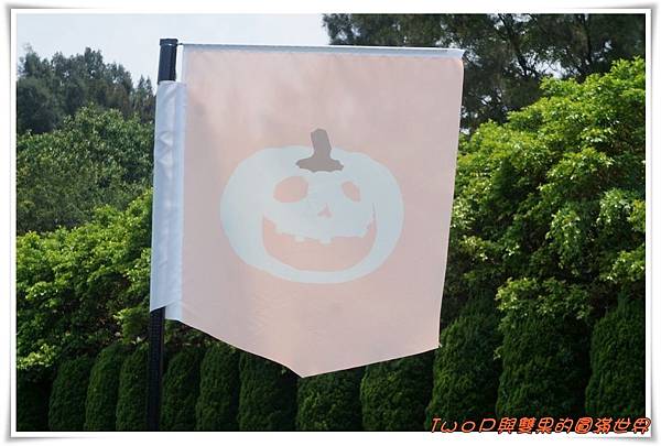 cats2-2.jpg cats2-2.jpg