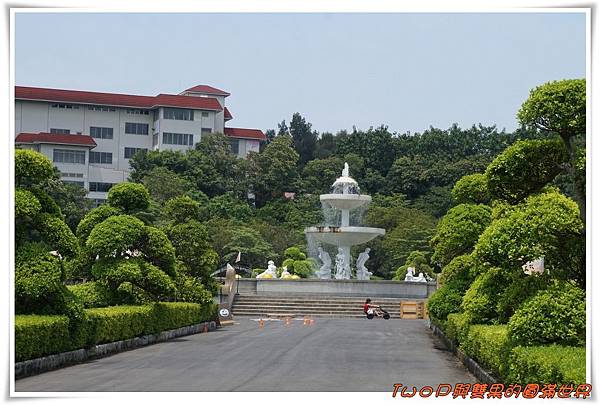 cats2-3.jpg cats2-3.jpg