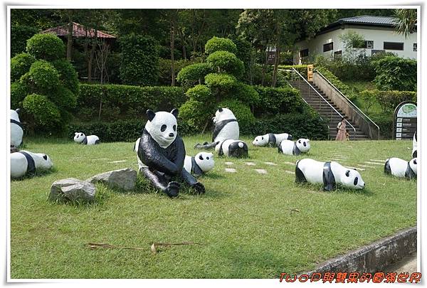 cats2-4.jpg cats2-4.jpg