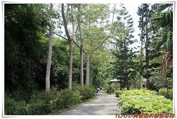 cats2-5.jpg cats2-5.jpg