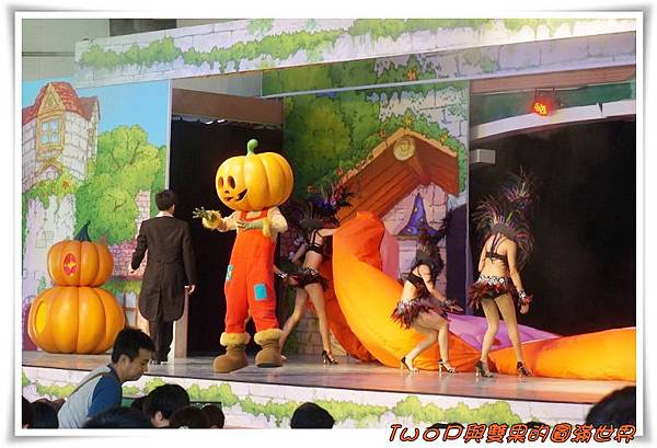 cats10.jpg cats10.jpg