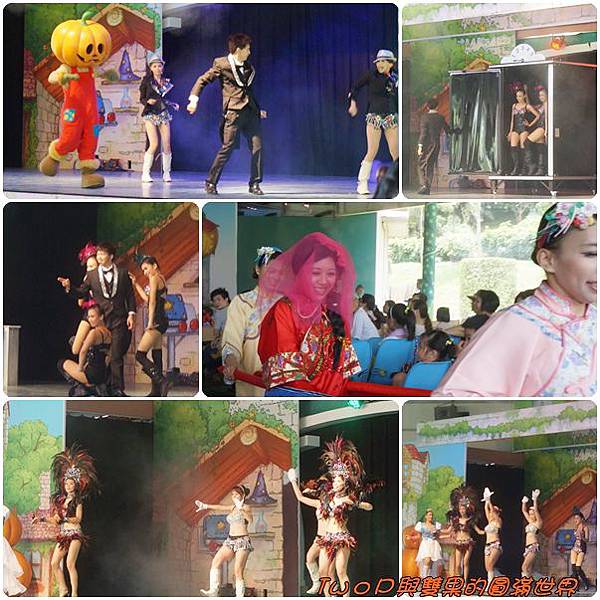 cats11.jpg cats11.jpg