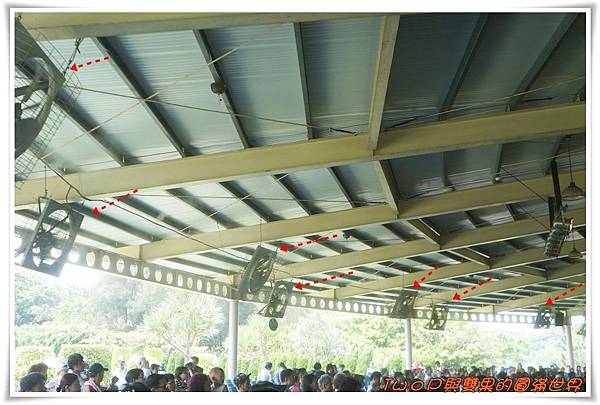 cats12.jpg cats12.jpg