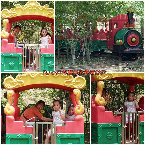 cats16.jpg cats16.jpg