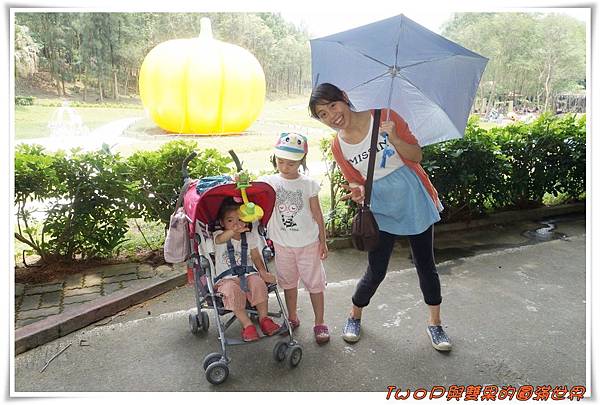 cats17.jpg cats17.jpg