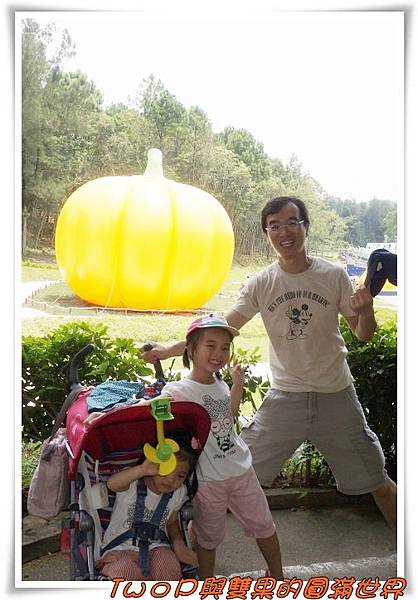 cats18.jpg cats18.jpg