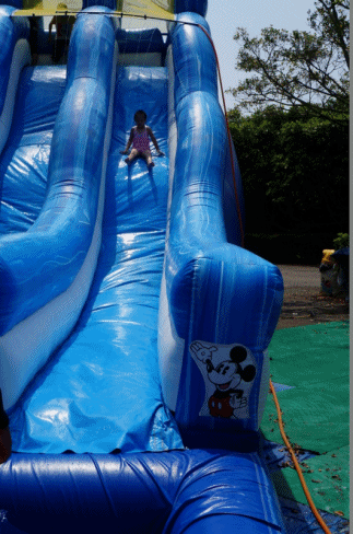 cats19.gif cats19.gif