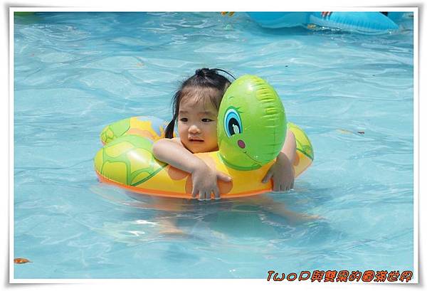 cats20.jpg cats20.jpg