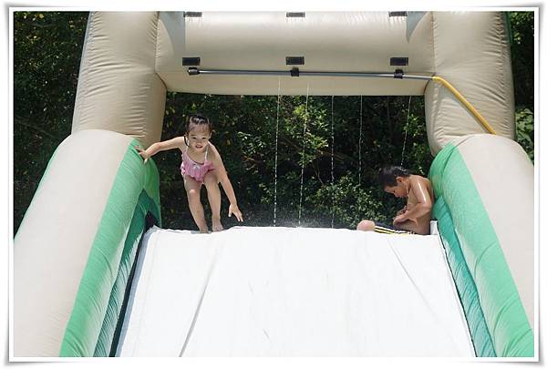 cats21.jpg cats21.jpg