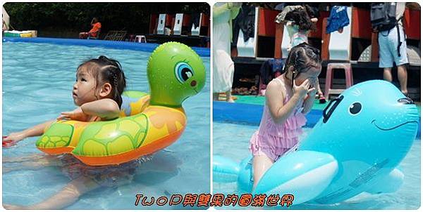 cats22.jpg cats22.jpg