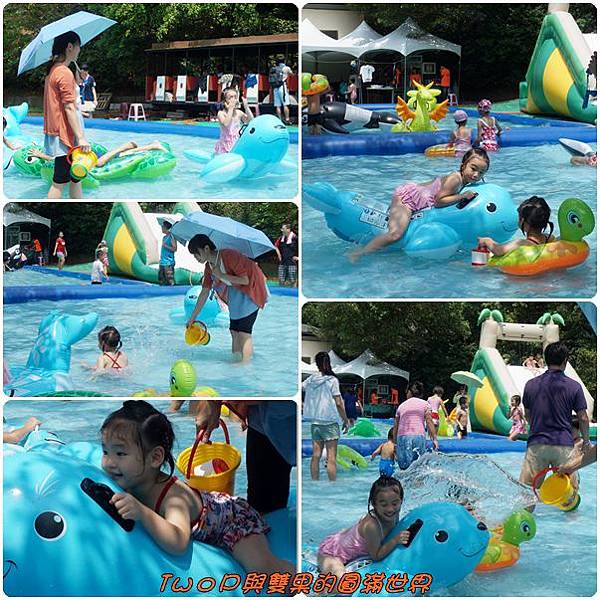 cats23.jpg cats23.jpg