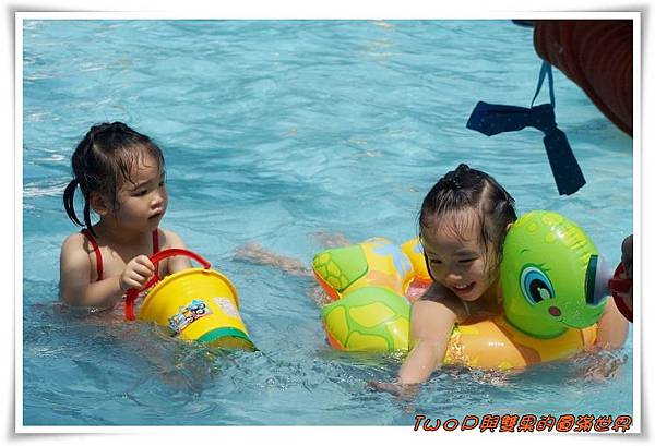 cats25.jpg cats25.jpg